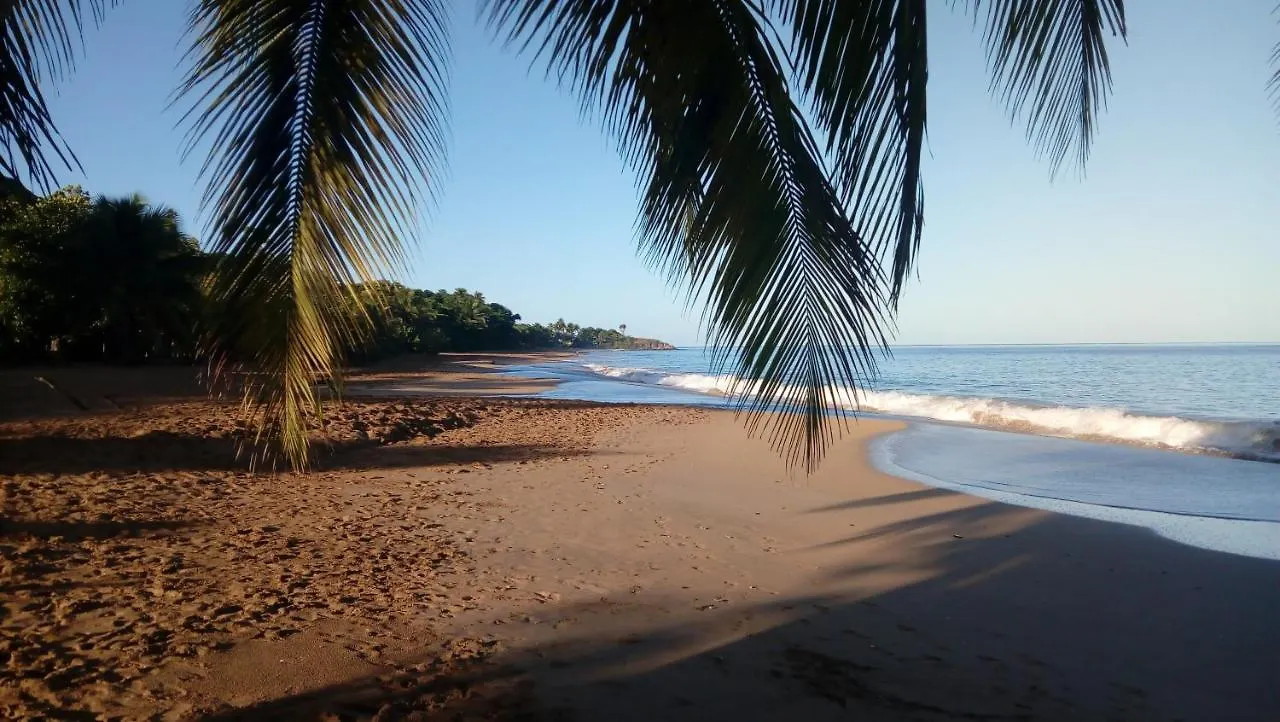 Hébergement de vacances Gite à 2 pas de la flamboyante plage de La Perle Deshaies