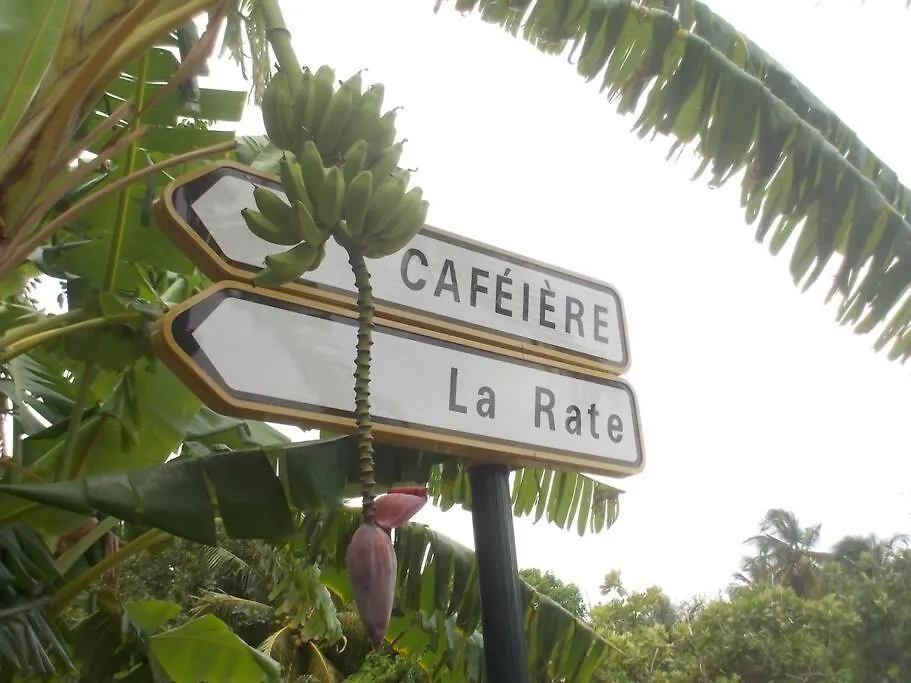 Gite à 2 pas de la flamboyante plage de La Perle Deshaies Hébergement de vacances