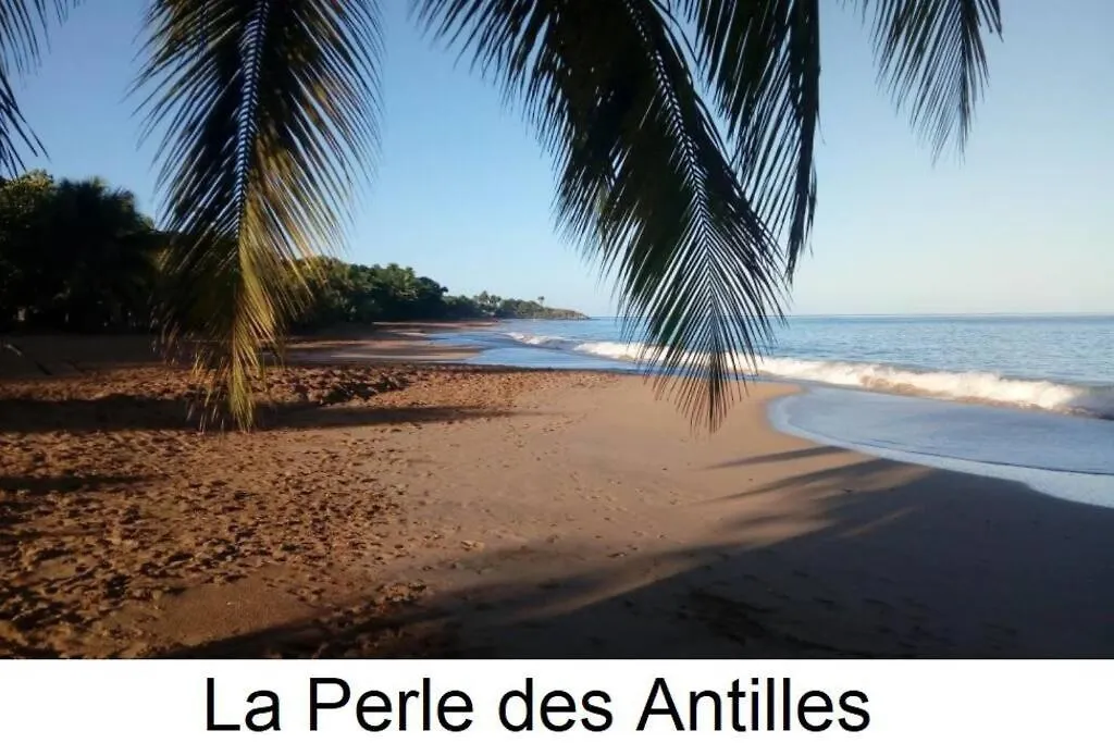 Gite à 2 pas de la flamboyante plage de La Perle Deshaies 0*,