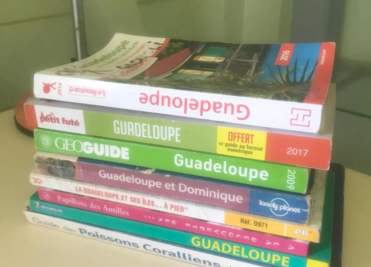 Gite à 2 pas de la flamboyante plage de La Perle Deshaies Hébergement de vacances